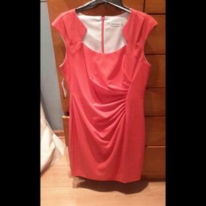 Calvin Klein business dress (NWT)